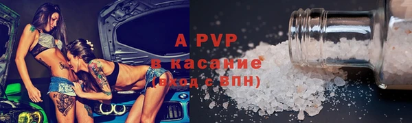 прущие грибы Богородицк