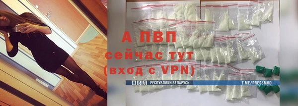 прущие грибы Богородицк