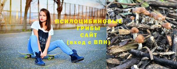 герыч Богородск