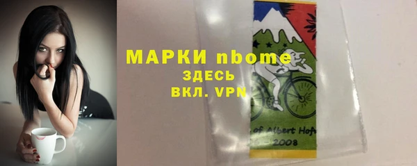 прущие грибы Богородицк