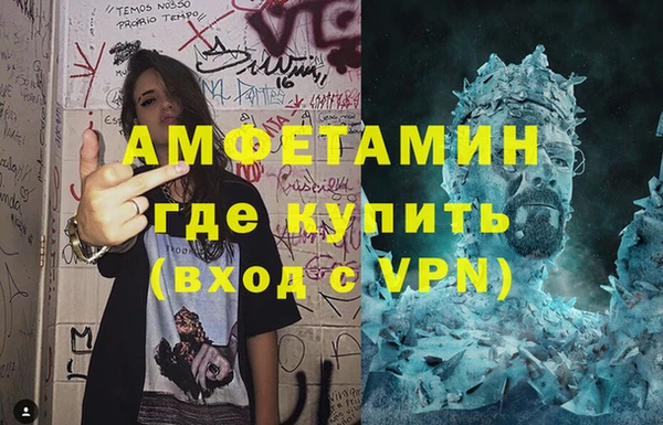 прущие грибы Богородицк