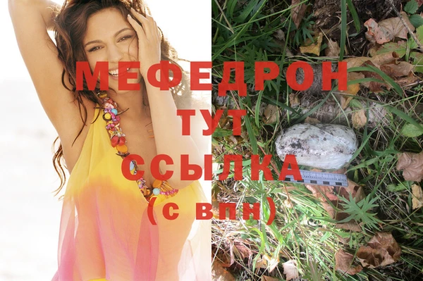 винт Богданович