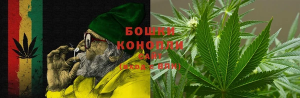 винт Богданович
