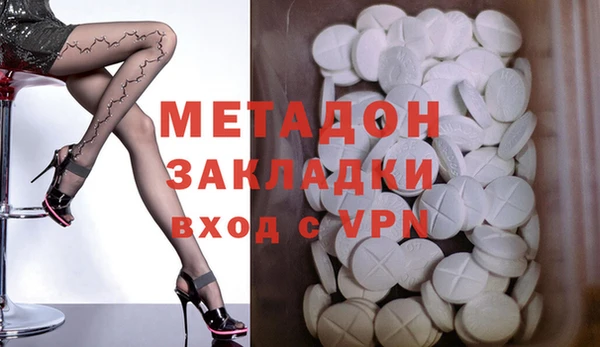 прущие грибы Богородицк