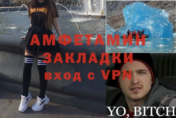 прущие грибы Богородицк