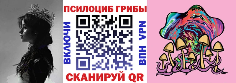 мориарти официальный сайт  купить наркотики сайты  Астрахань  Псилоцибиновые грибы прущие грибы 